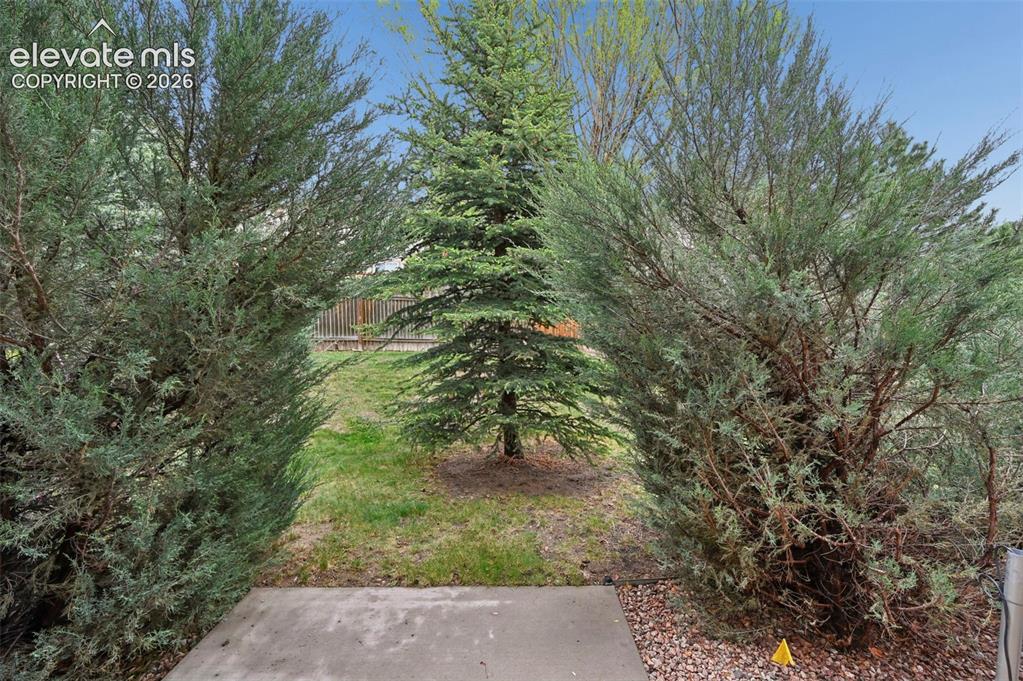 Image 33 of 39: Yard