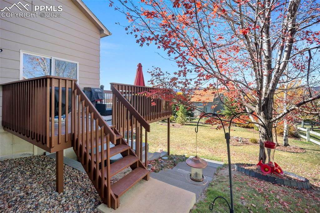 Image 37 of 49: Yard