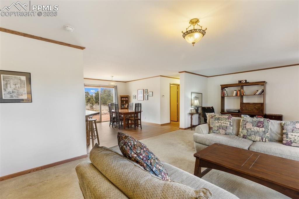 Image 10 of 49: Living Room