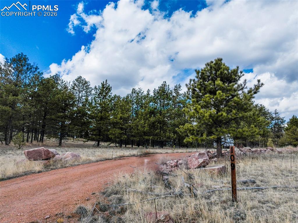 Image 37 of 49: Yard