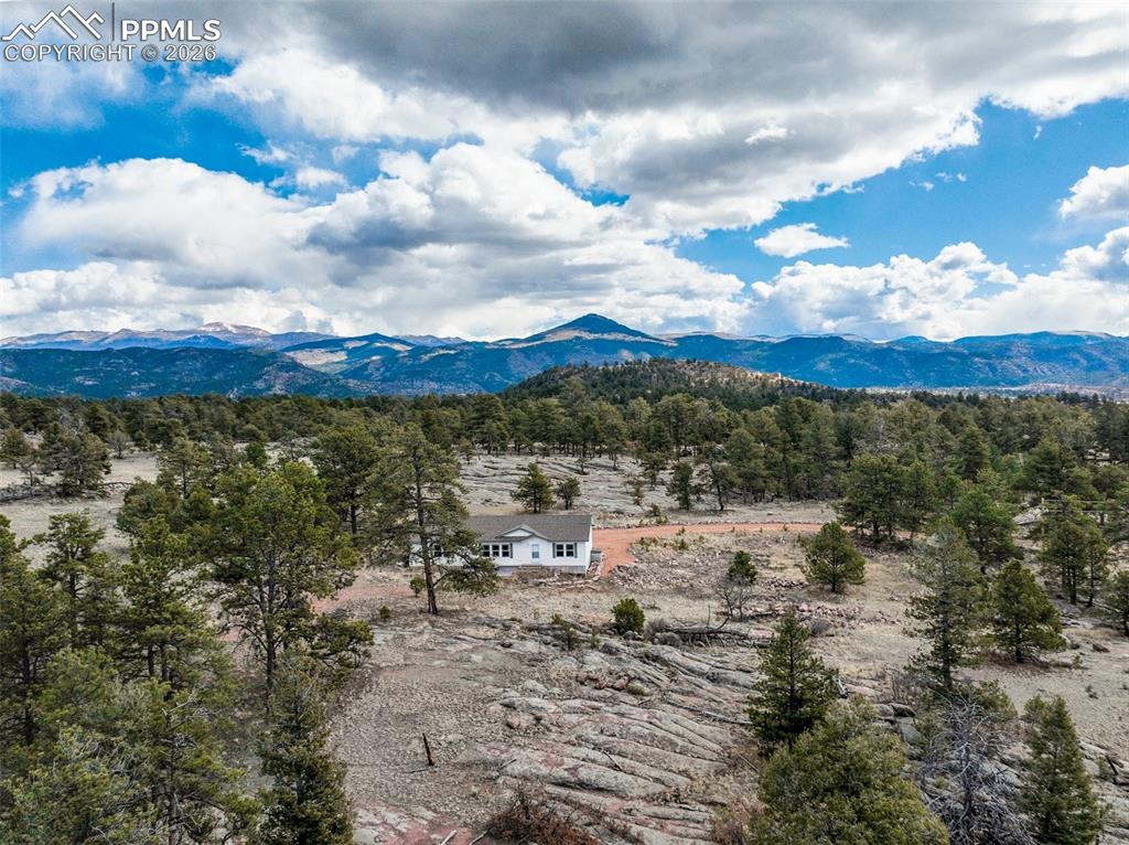 Image 39 of 49: View