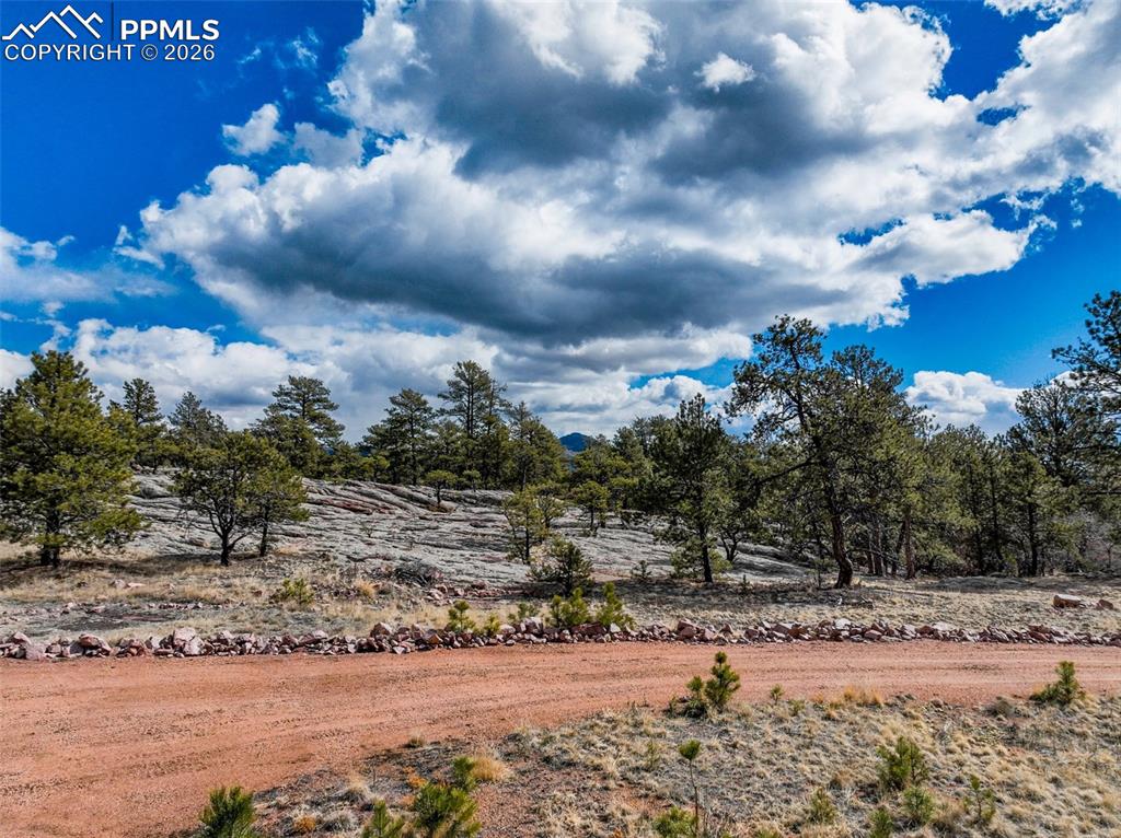 Image 47 of 49: Other