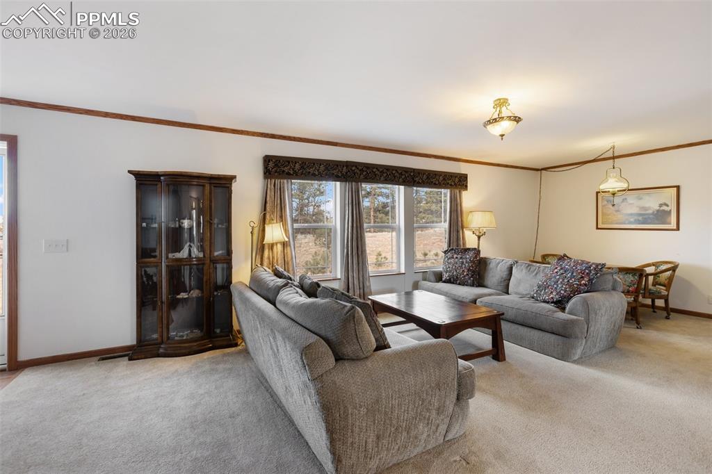 Image 8 of 49: Living Room