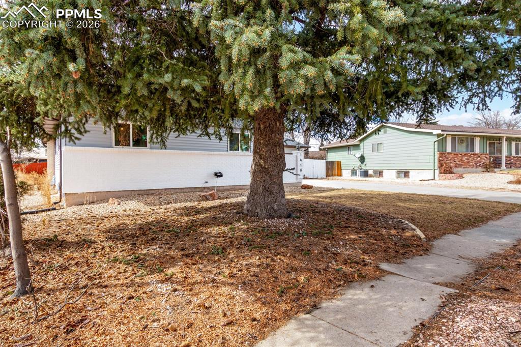 Image 3 of 38: Front of Structure