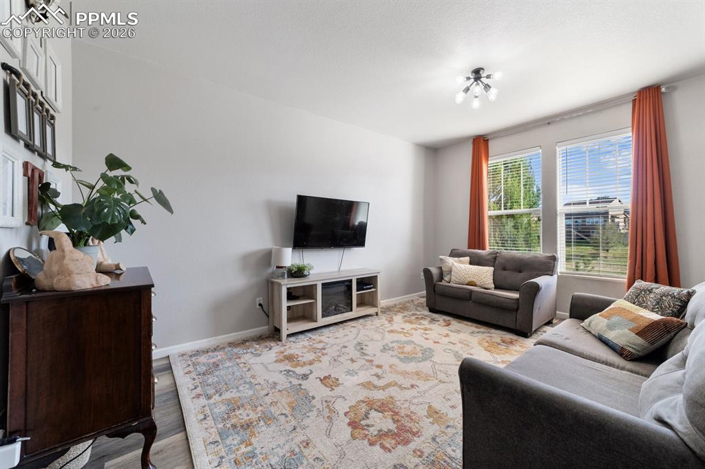 Image 24 of 31: Living Room