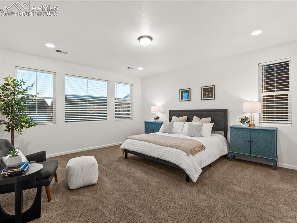 Image 36 of 45: Spacious room featuring carpeted floors, white walls, and multiple windows 