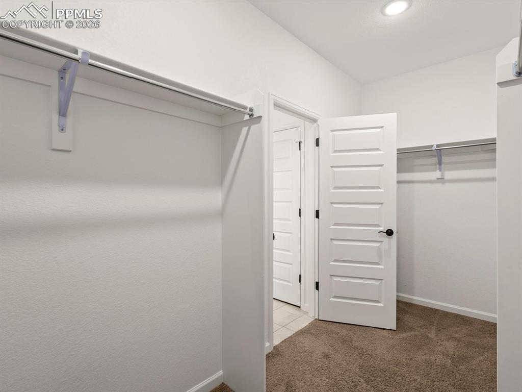 Image 44 of 45: Walk-in closet with carpet flooring, white walls, and recessed lighting