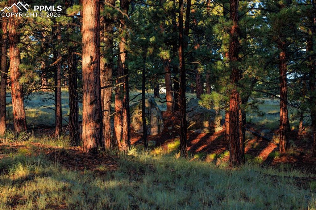 Image 31 of 35: Other