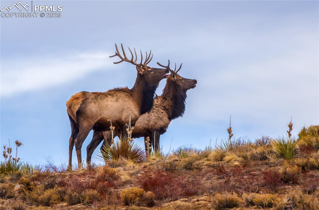 Image 32 of 35: Other