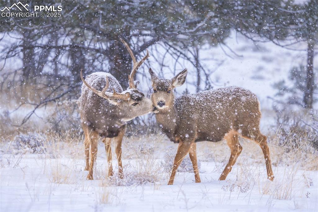 Image 34 of 35: Other