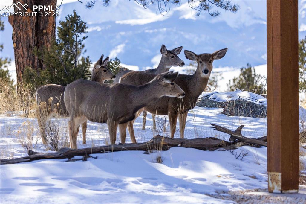 Image 35 of 35: Other