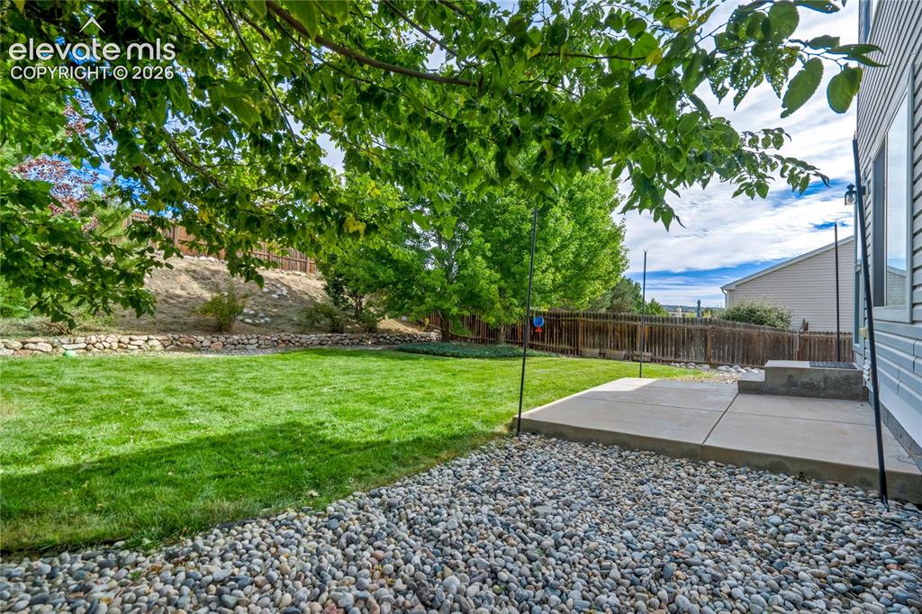 Image 16 of 49: Yard