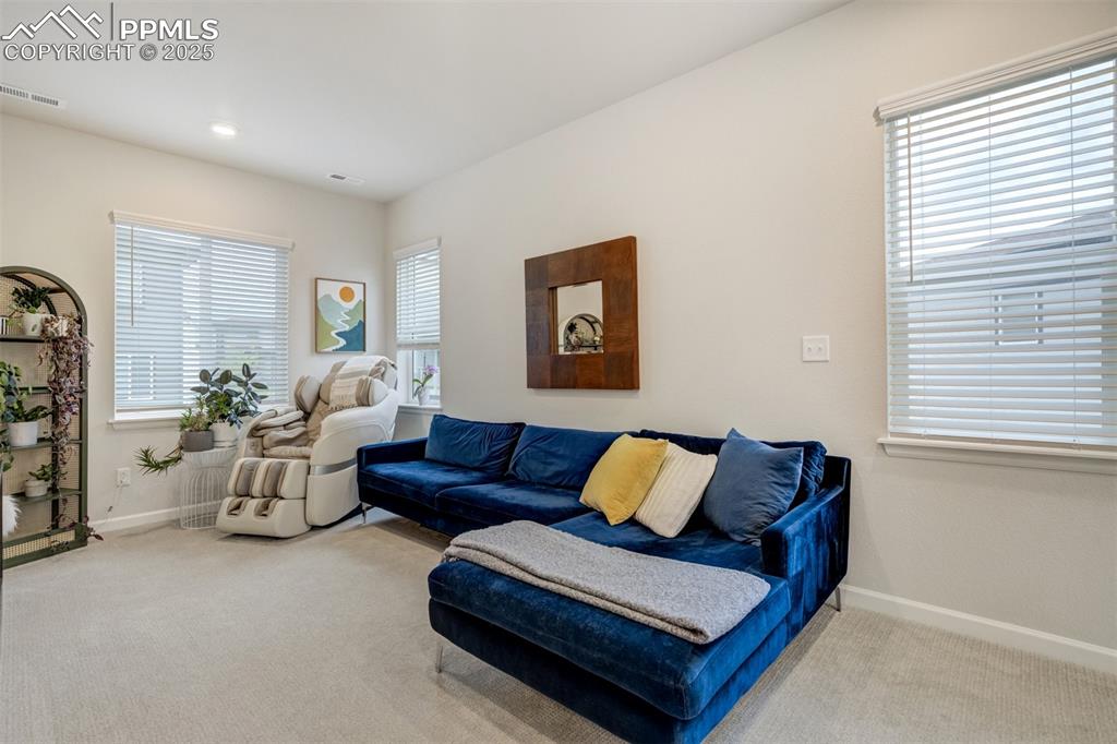 Image 17 of 50: Carpeted living room featuring plenty of natural light