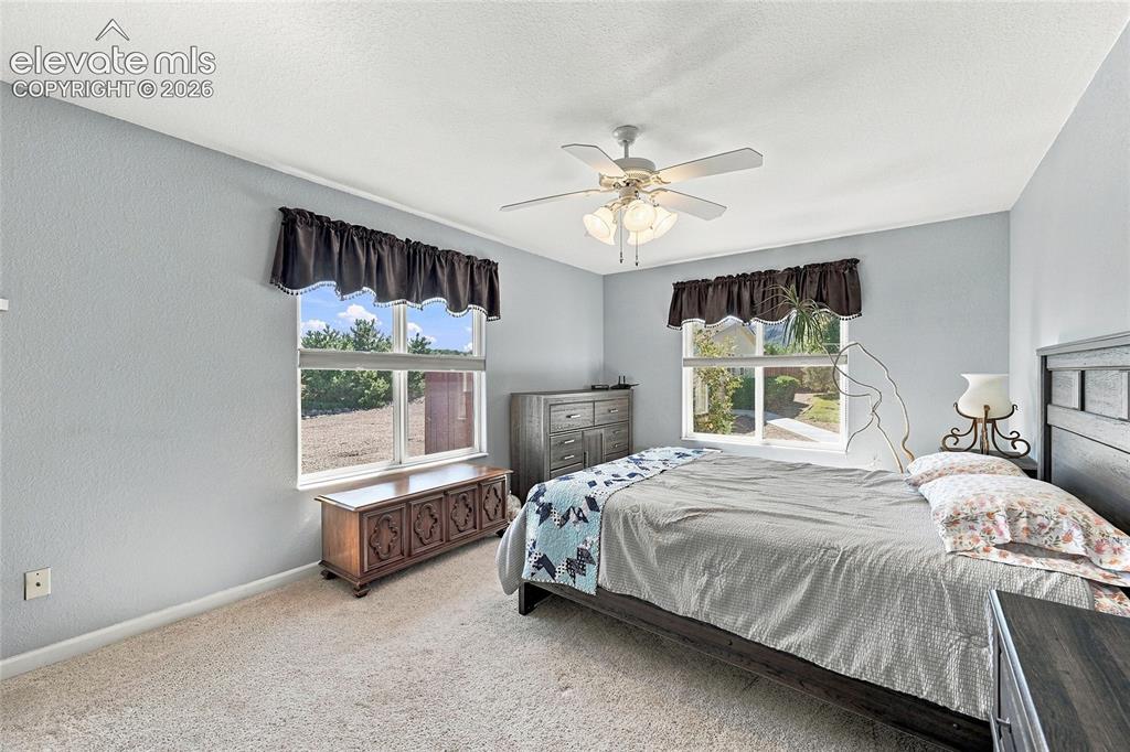 Image 14 of 36: Large room with neutral carpet flooring and two windows with views.