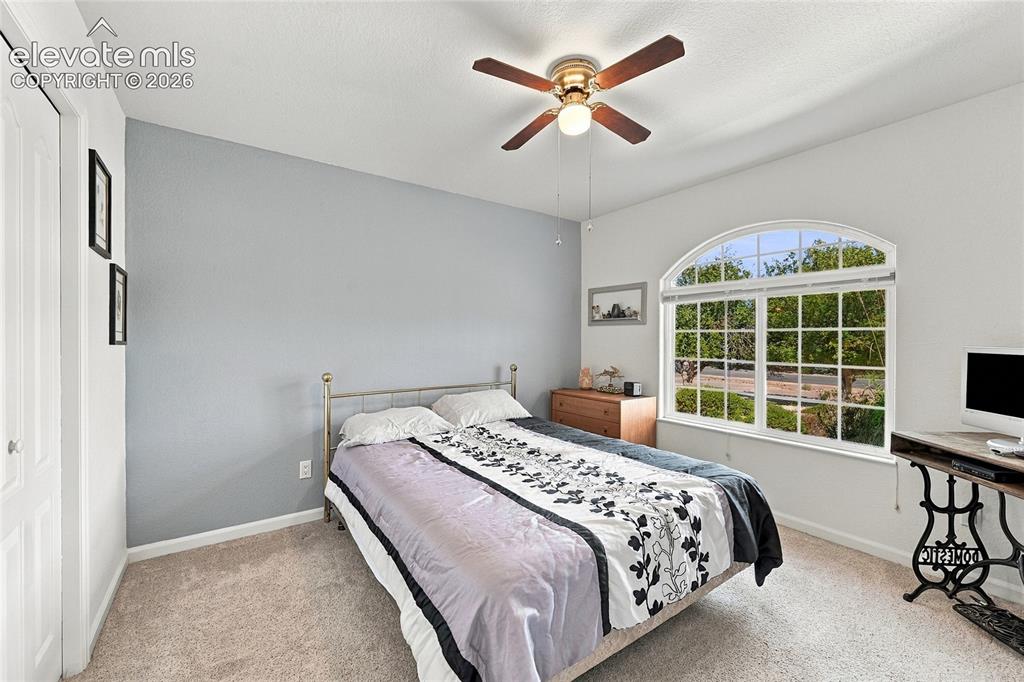 Image 17 of 34: Arched window, ceiling fan light fixture, and neutral-toned carpeting