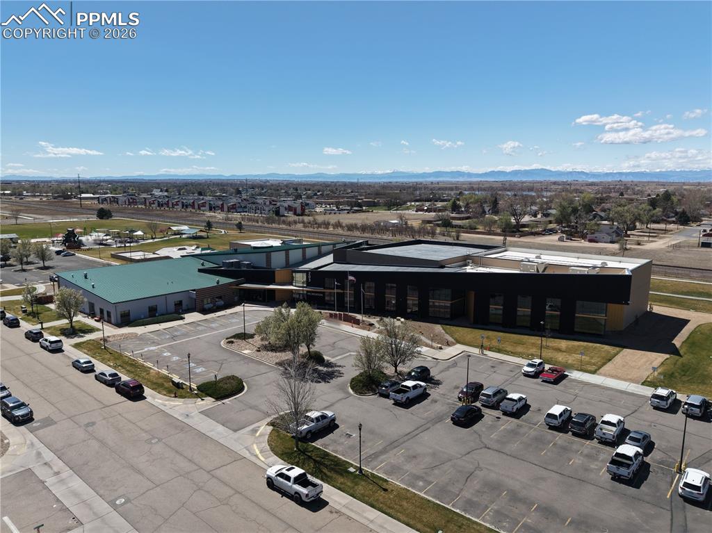 Image 31 of 40: Bird