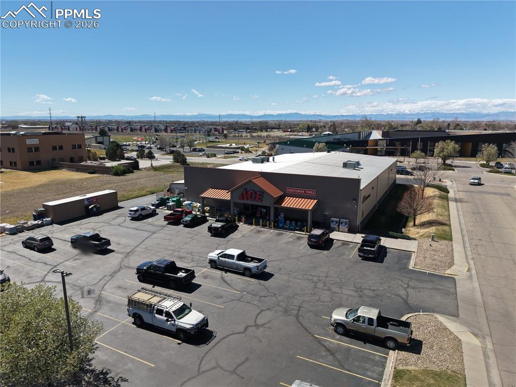 Image 36 of 40: Bird