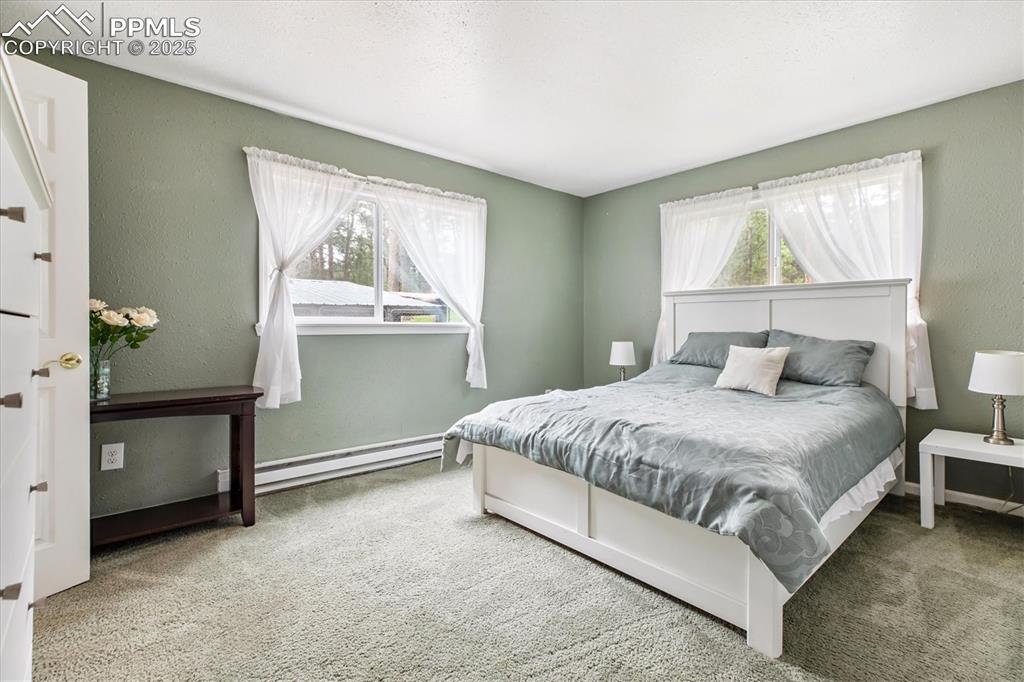 Image 14 of 29: Bedroom featuring multiple windows, carpet floors