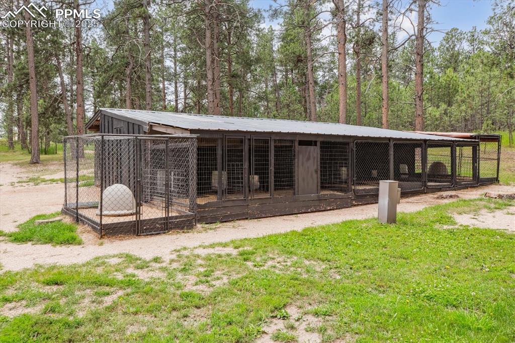 Image 27 of 29: 15 kennel dog run with indoor/outdoor access