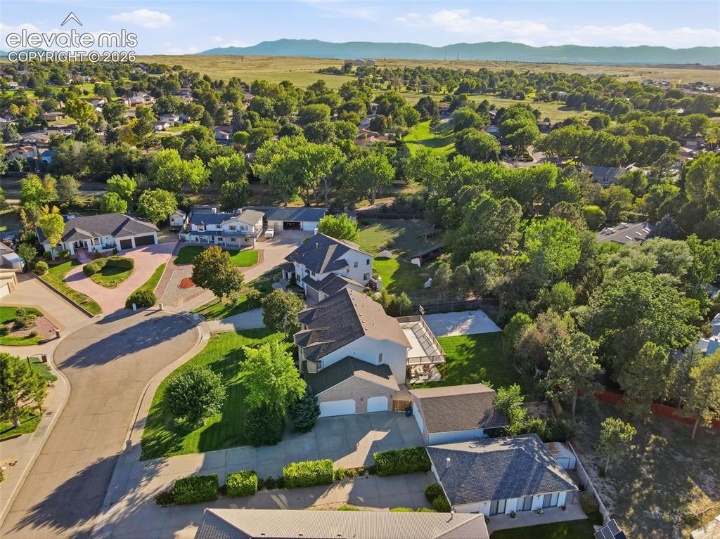 Image 48 of 49: Suburban setting with mature trees, paved streets, and residential homes