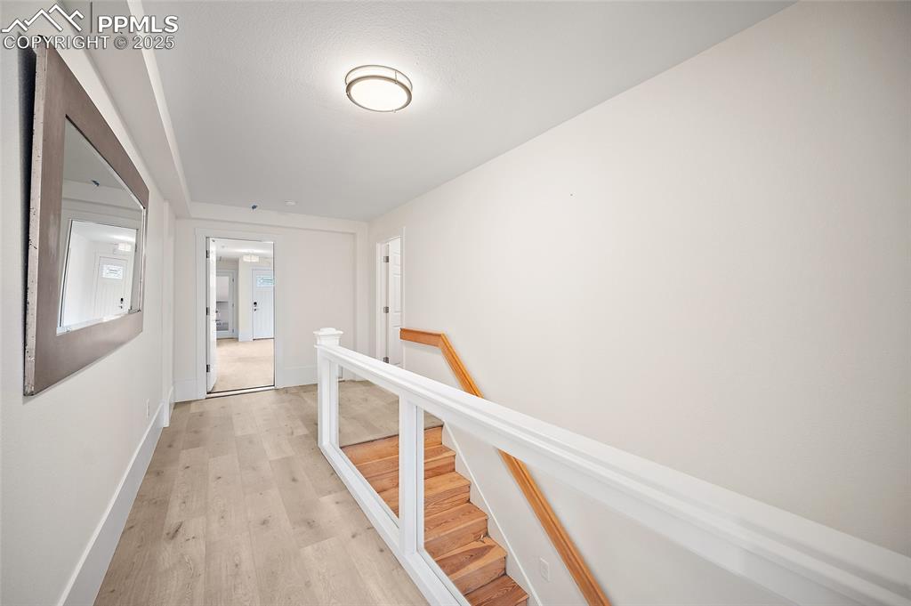 Image 19 of 50: Other