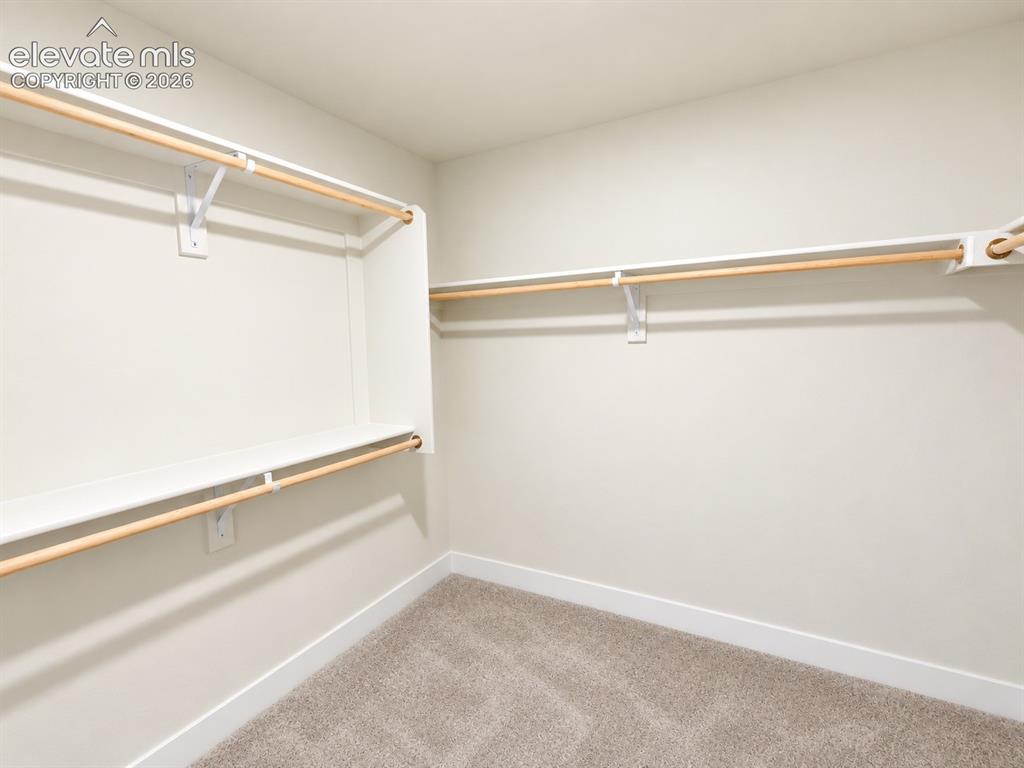 Image 12 of 26: Built-in shelving, multiple hanging rods, and carpeting