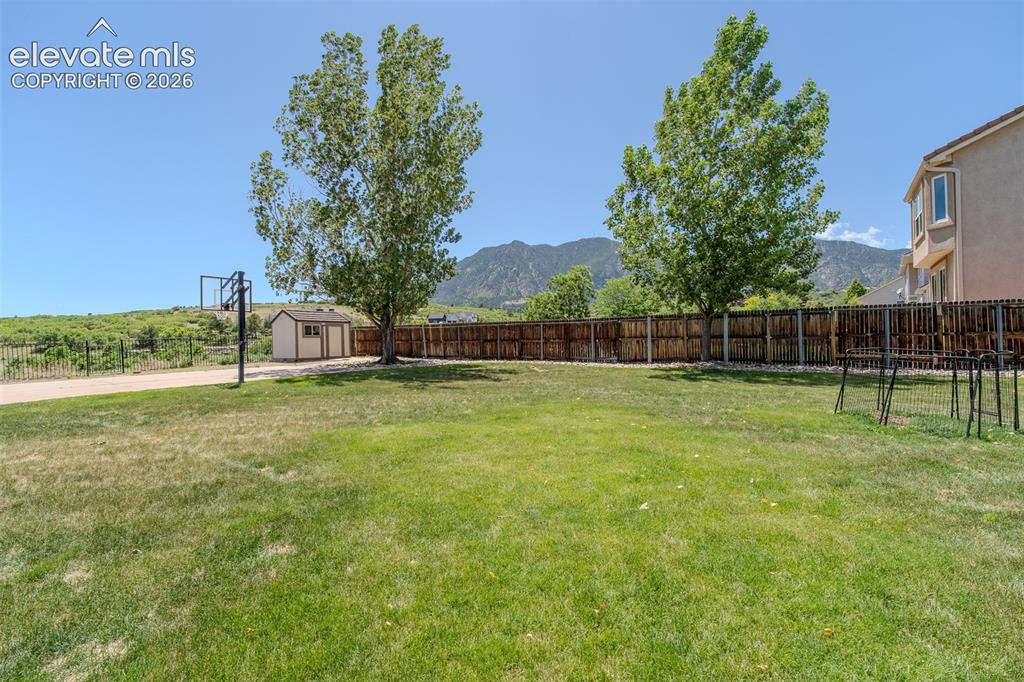 Image 11 of 44: Yard