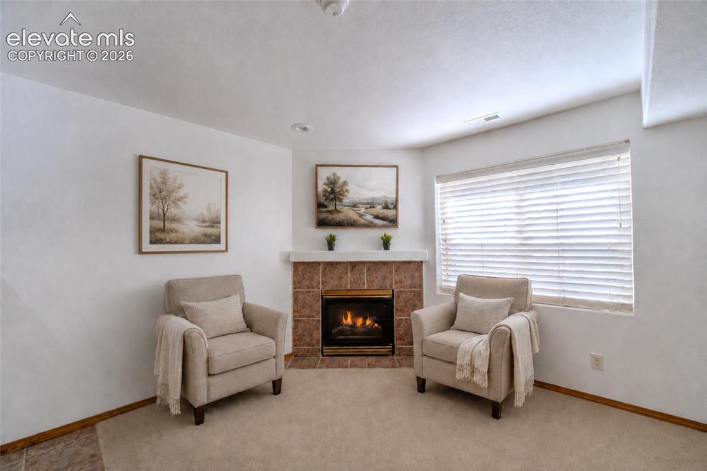 Image 33 of 44: 2nd gas fireplace in basement