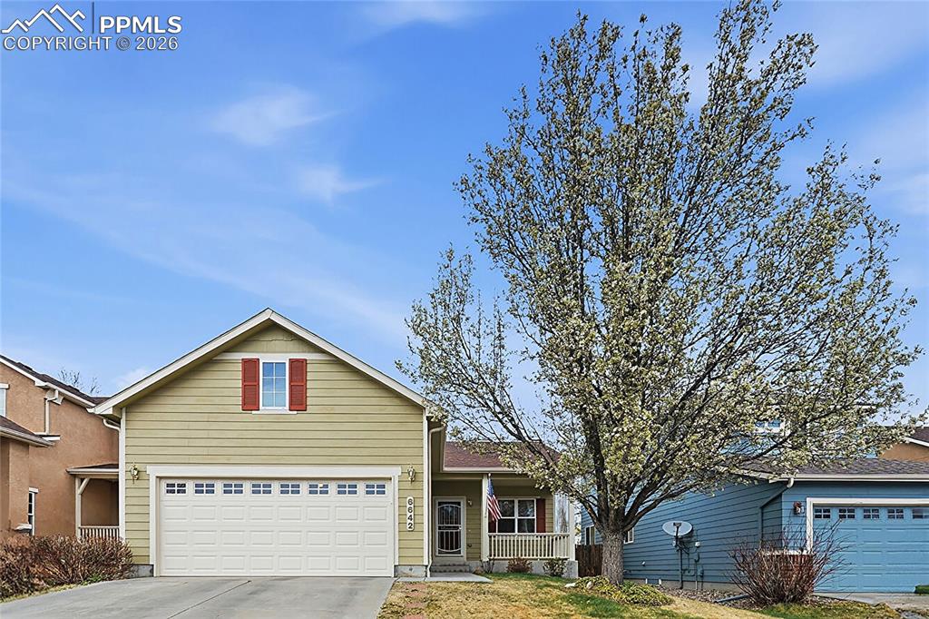 Image 41 of 46: Front of Structure