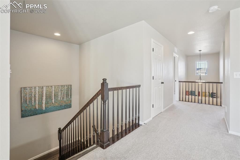 Image 20 of 45: Other