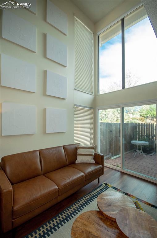 Image 18 of 49: Living room - lots of natural light