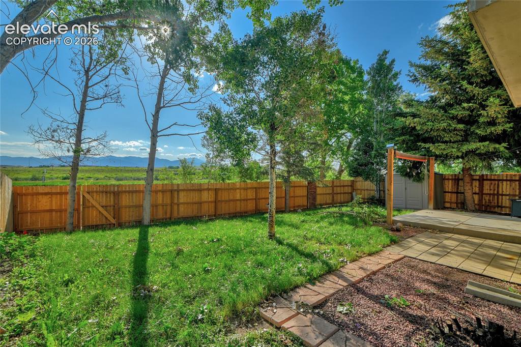 Image 23 of 23: Expansive backyard featuring a wood privacy fence, mature trees, a concrete