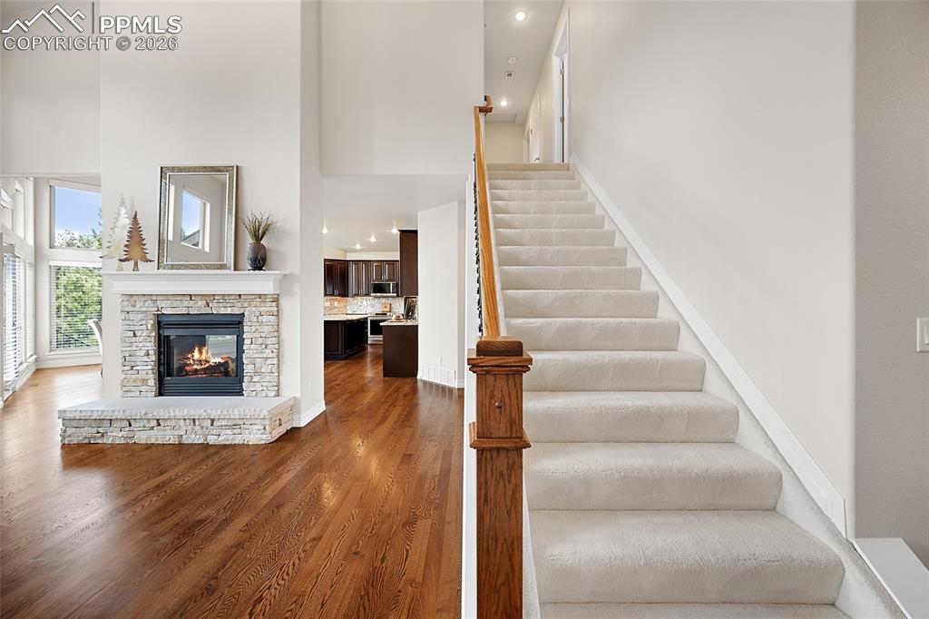 Image 25 of 50: Other