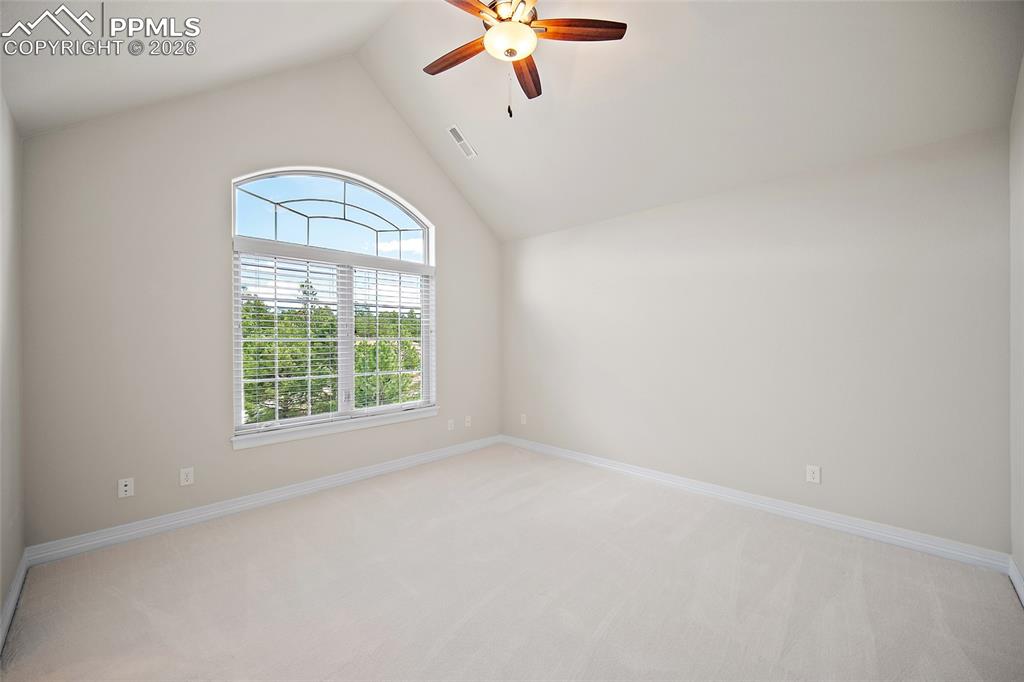 Image 26 of 50: Other