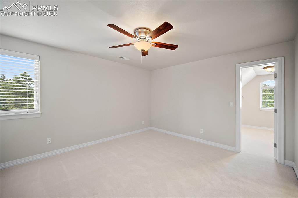 Image 29 of 50: Other