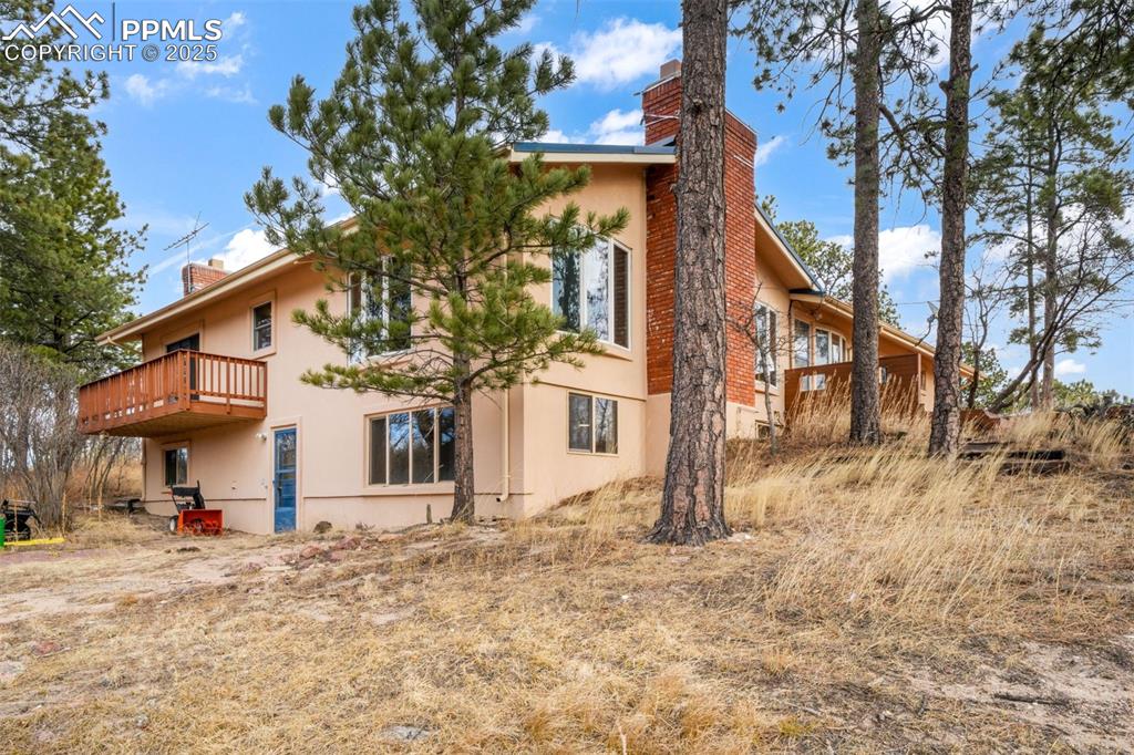 Image 39 of 50: Back of Structure