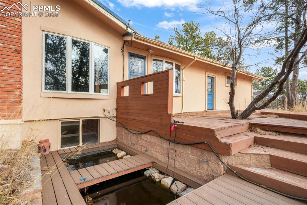 Image 40 of 50: Koi Pond