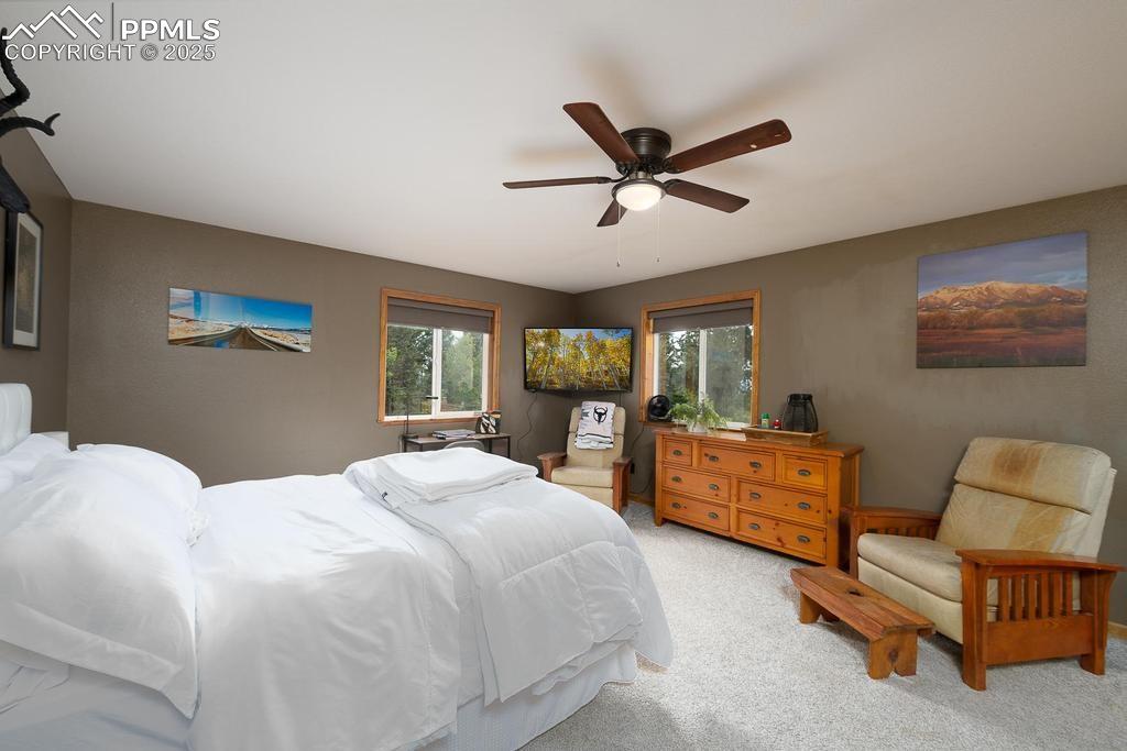 Image 15 of 30: Master Bedroom