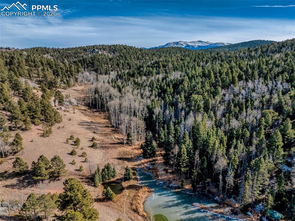 Image 46 of 50: Aerial View