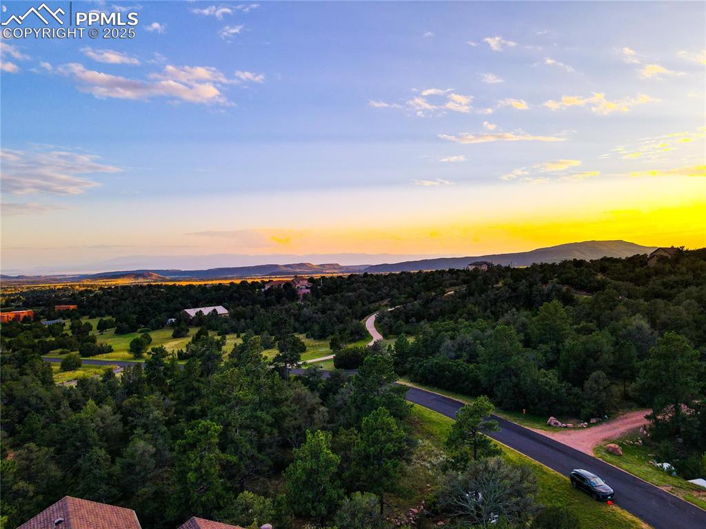 Image 14 of 17: Bird