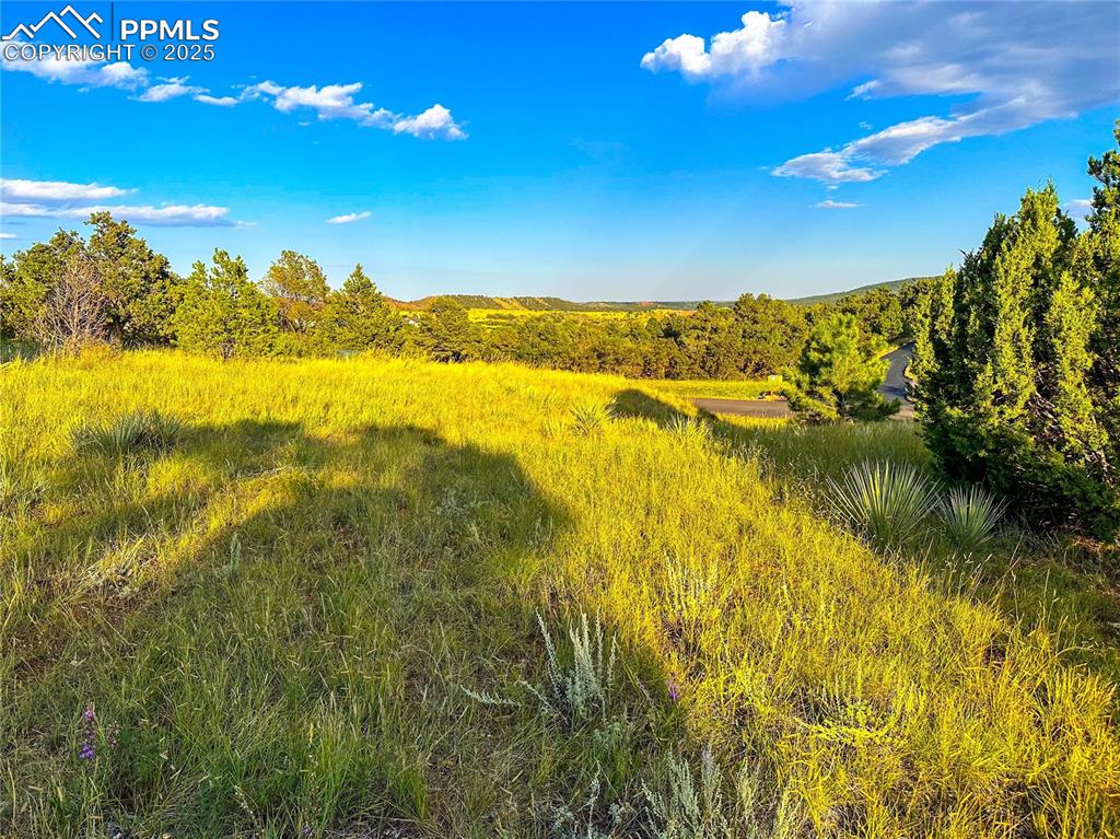 Image 3 of 17: Peaceful land facing easternly