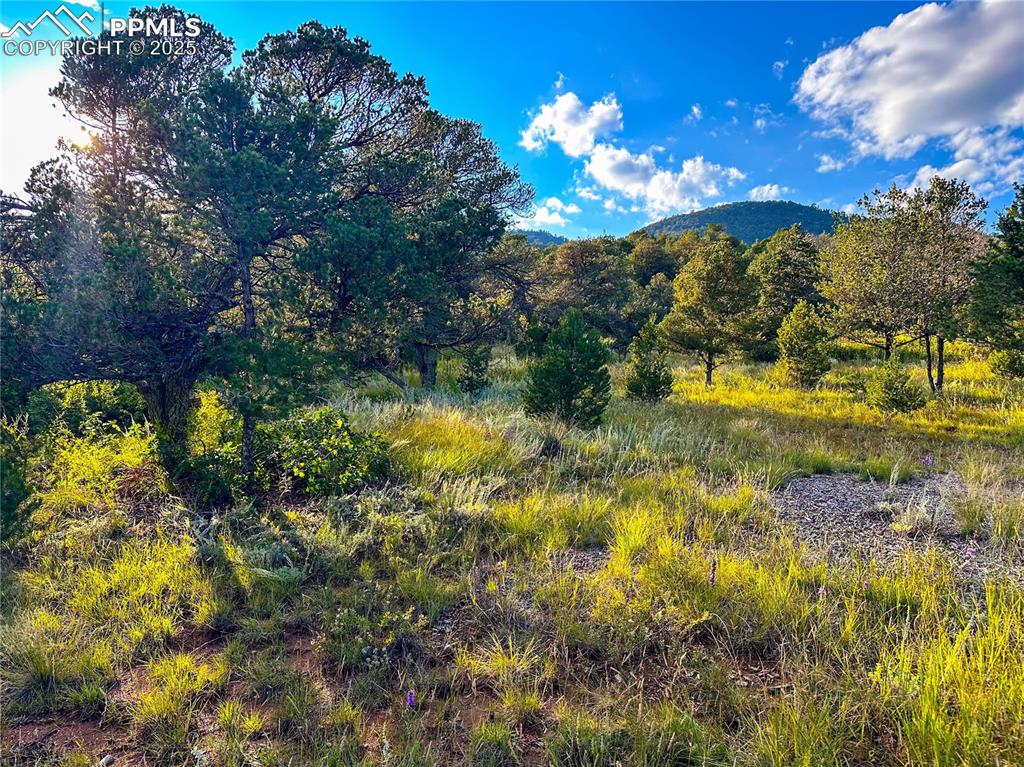Image 5 of 17: View of mountain