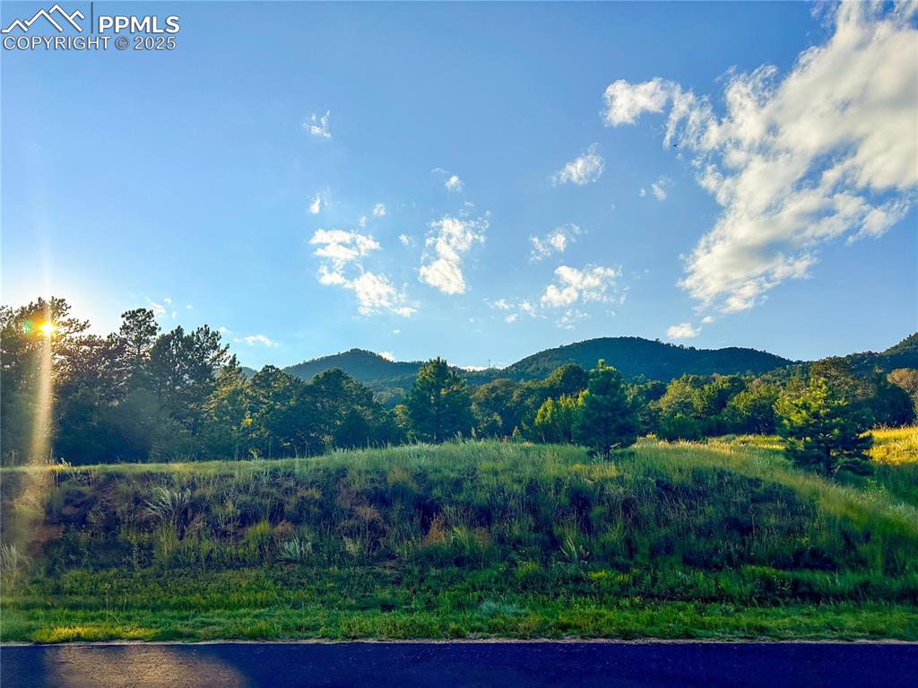 Image 7 of 17: Street view