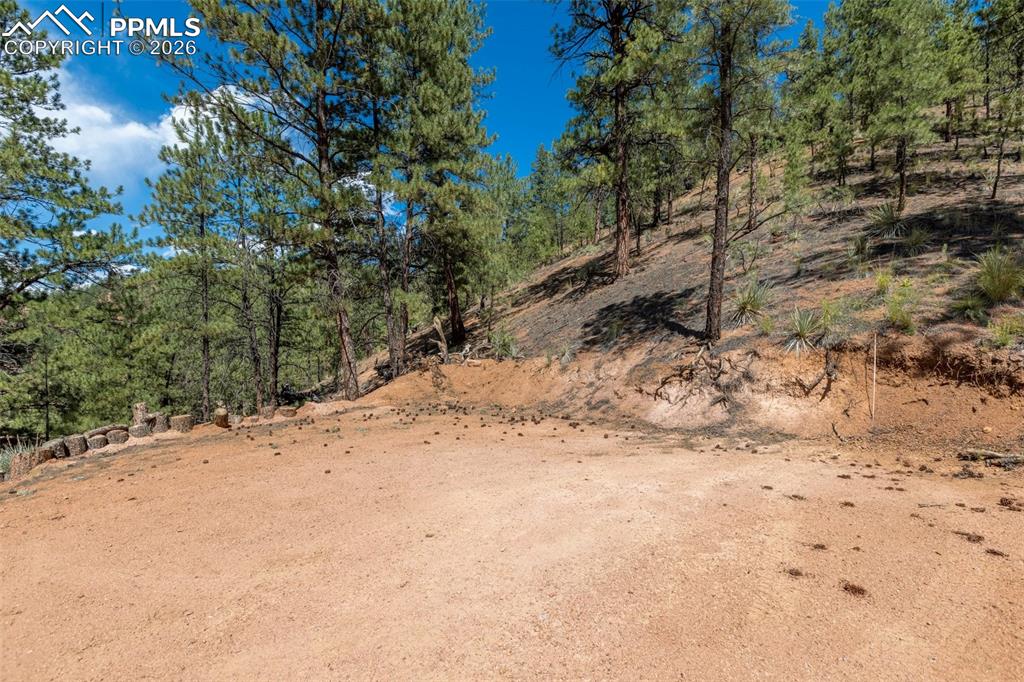 Image 25 of 46: Bathroom shower/ tub combo