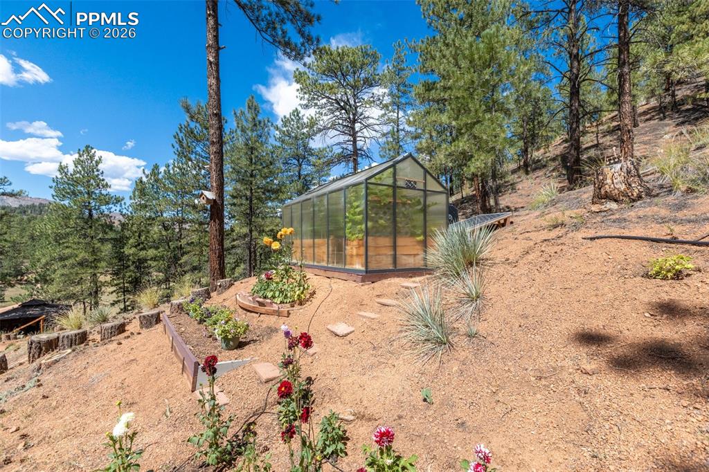 Image 37 of 46: View of yard featuring green house