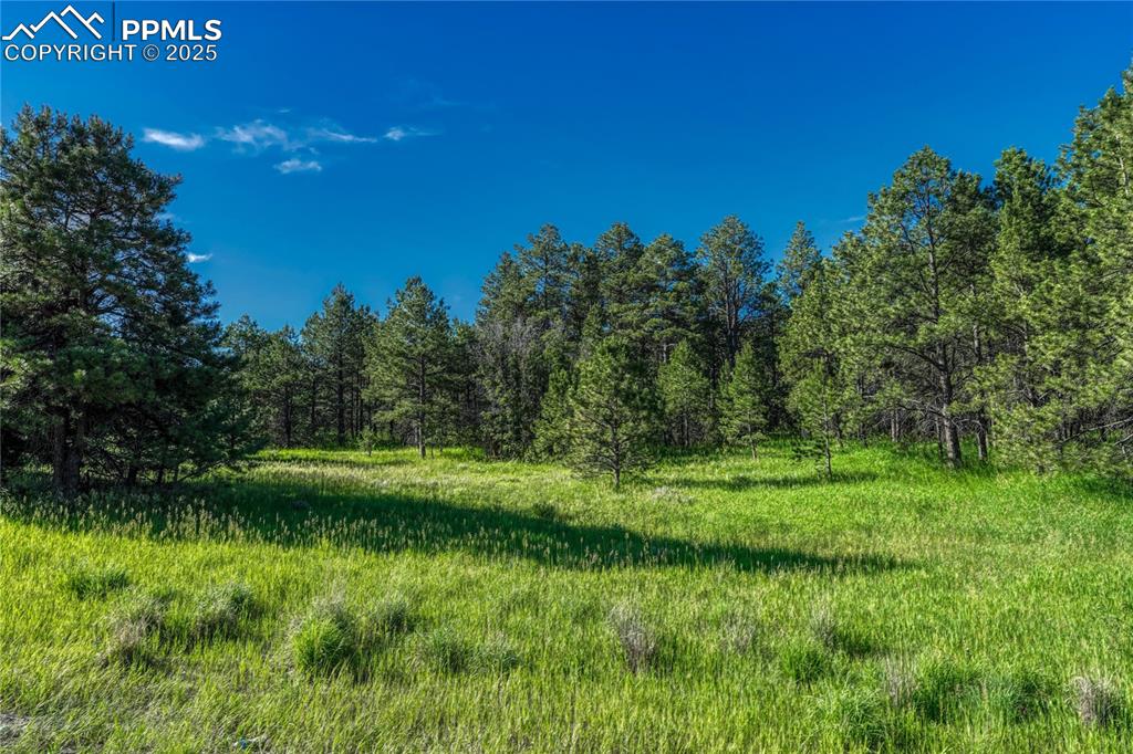 Image 13 of 18: ...this beautiful property.