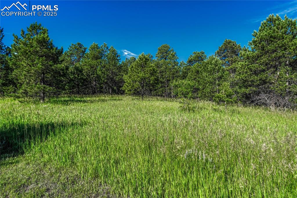 Image 14 of 18: Located just minutes from I-25 and Highway 83.