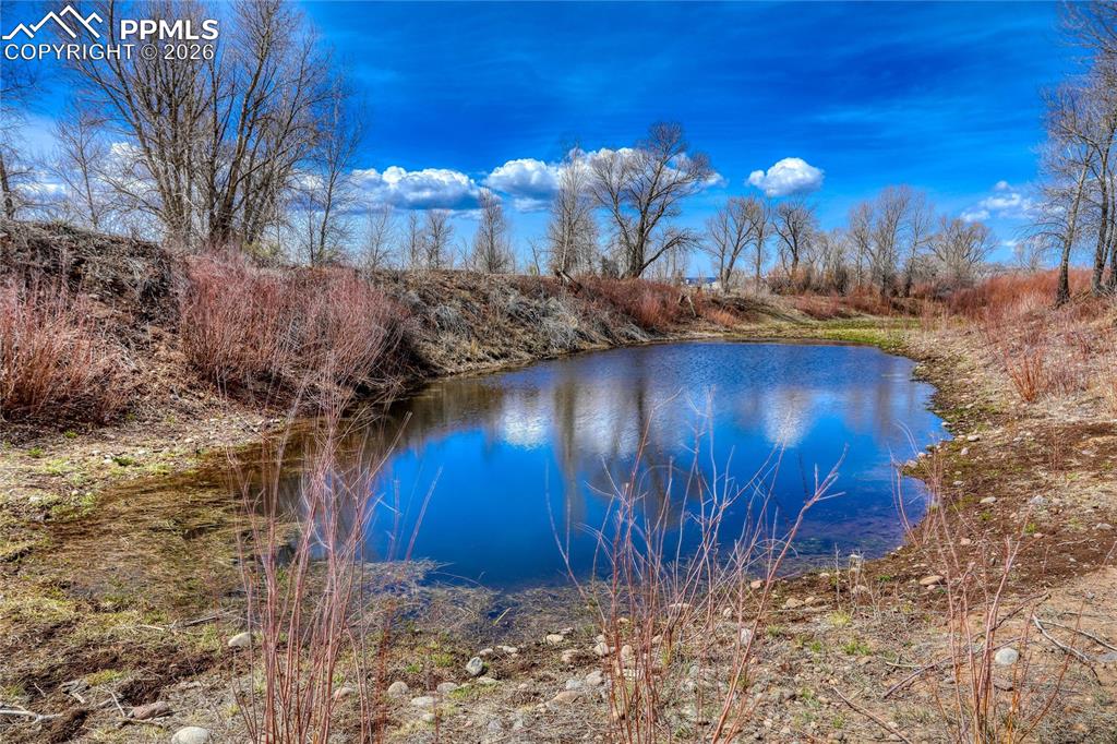 Image 48 of 50: View