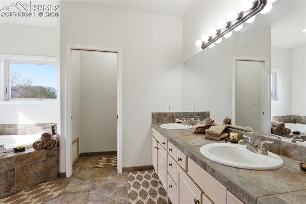 Image 41 of 47: 5 piece bath featuring a jetted tub and double vanity and separate shower