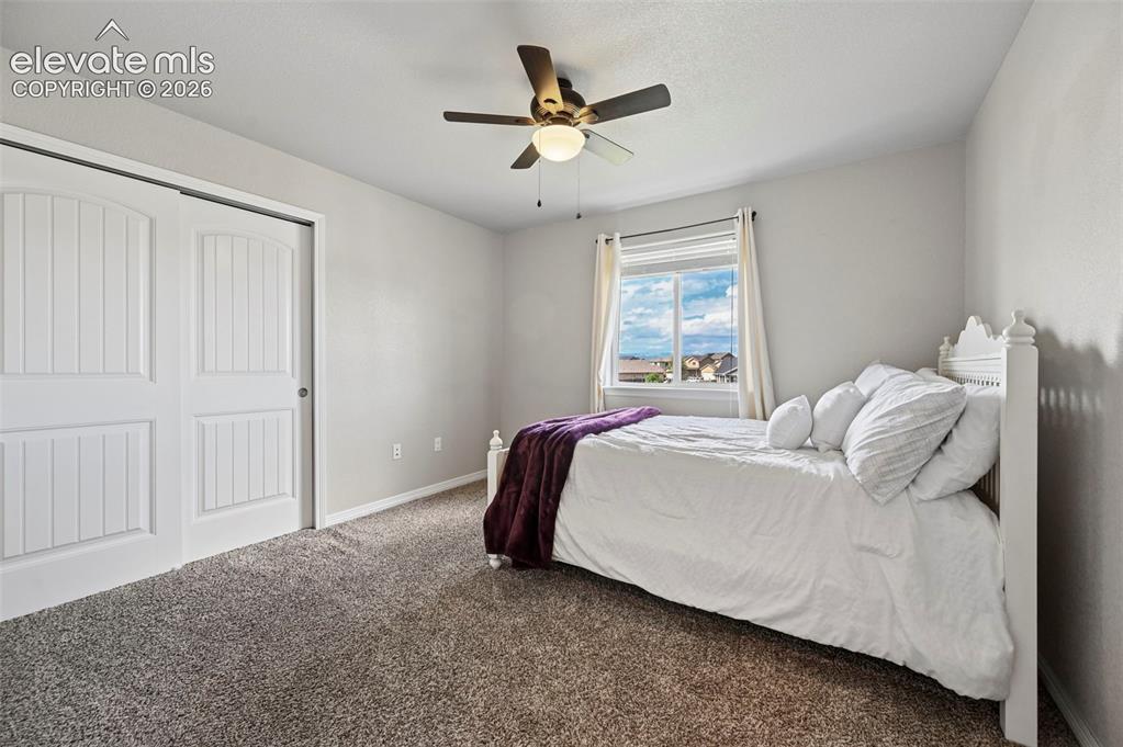 Image 15 of 29: Neutral wall paint, carpet flooring, a ceiling fan with integrated lighting